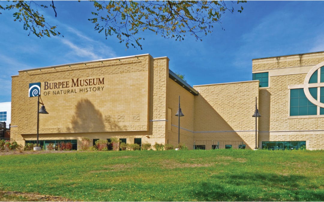 Burpee Museum Addition